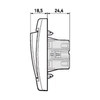 Klingeltaster mit Glimmlampe 10AX/250V~ Einsatz ohne Rahmen mit Wippe Beige (RAL 1013)